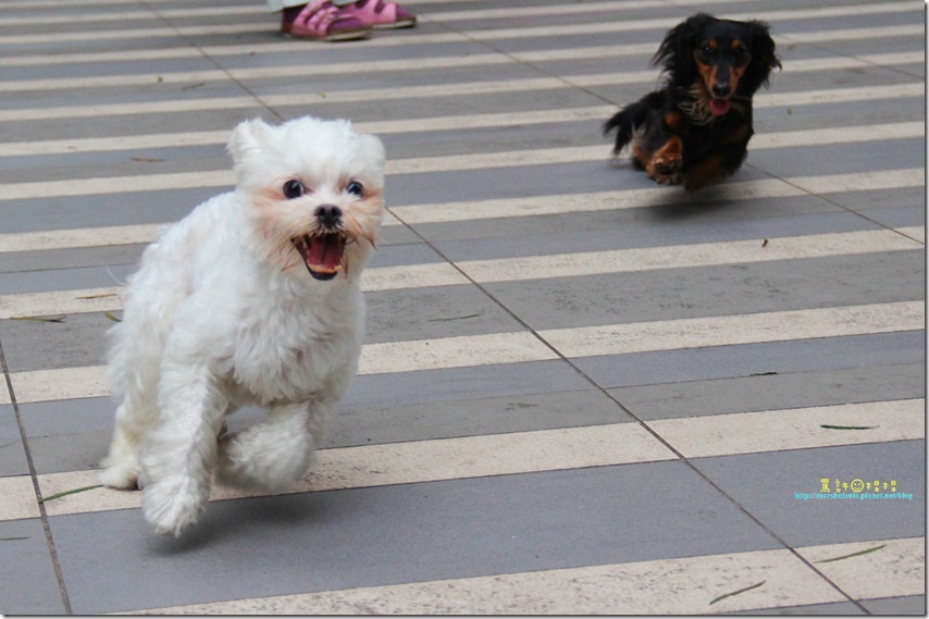 IMG_5961P32_thumb[1]