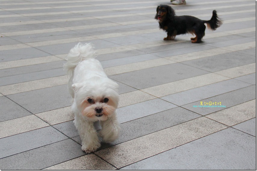 IMG_5939P30_thumb[1]