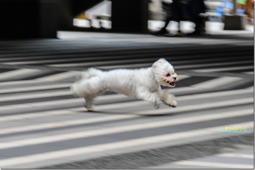 IMG_5963P33_thumb[1]