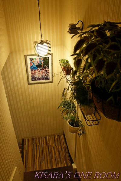 七見櫻堂巧克力甜點專賣店(板新店):和風巧克力專門店所開的沙龍──七見櫻堂