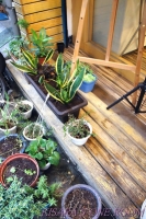 七見櫻堂巧克力甜點專賣店(板新店):和風巧克力專門店所開的沙龍──七見櫻堂