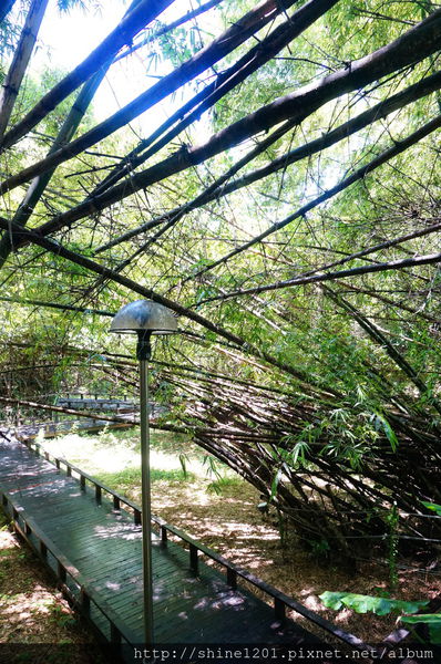 小琉球兩天一夜【戀戀海景離島旅遊】浮潛+BBQ+阿念達小酒吧+花瓶岩+蛤板灣 威尼斯海灘+潮間帶+爆漿黑糖包+魷魚伯母