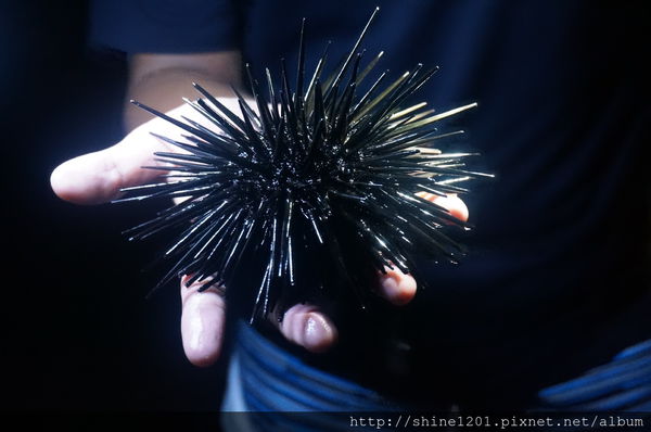 小琉球兩天一夜【戀戀海景離島旅遊】浮潛+BBQ+阿念達小酒吧+花瓶岩+蛤板灣 威尼斯海灘+潮間帶+爆漿黑糖包+魷魚伯母