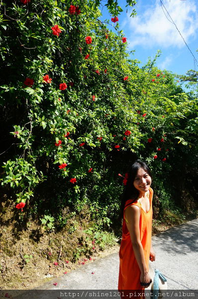 小琉球兩天一夜【戀戀海景離島旅遊】浮潛+BBQ+阿念達小酒吧+花瓶岩+蛤板灣 威尼斯海灘+潮間帶+爆漿黑糖包+魷魚伯母