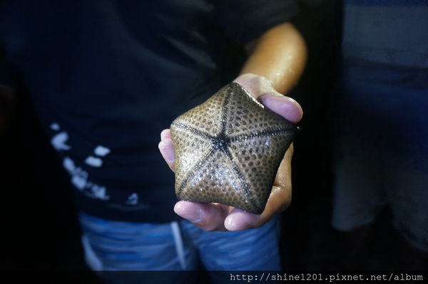 小琉球兩天一夜【戀戀海景離島旅遊】浮潛+BBQ+阿念達小酒吧+花瓶岩+蛤板灣 威尼斯海灘+潮間帶+爆漿黑糖包+魷魚伯母