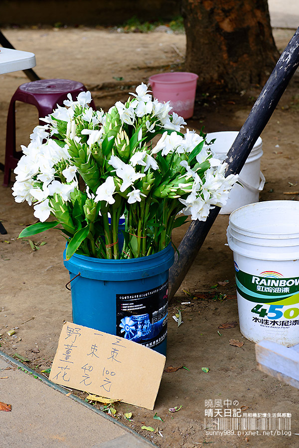 金山老街:【金山老街】好好吃、好好逛、好好買的三好老街