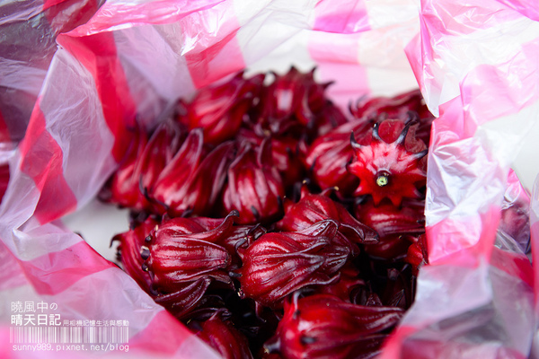 金山老街:【金山老街】好好吃、好好逛、好好買的三好老街