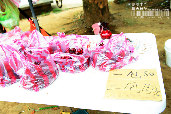 金山老街:【金山老街】好好吃、好好逛、好好買的三好老街