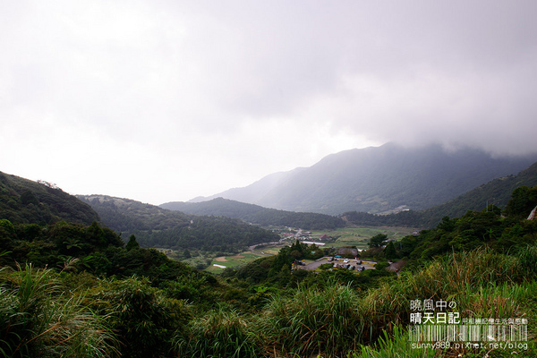 金山老街:【金山老街】好好吃、好好逛、好好買的三好老街