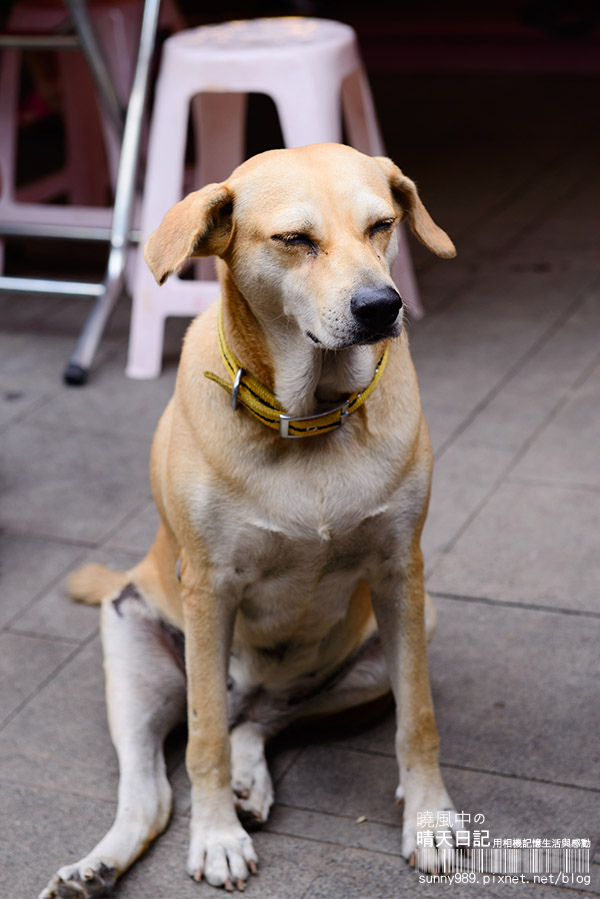 金山老街:【金山老街】好好吃、好好逛、好好買的三好老街