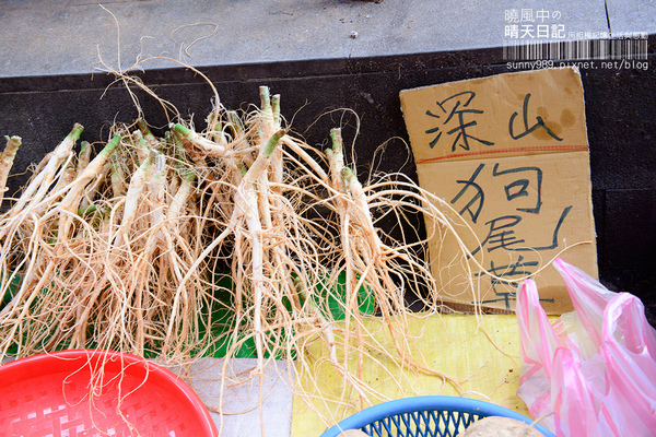 金山老街:【金山老街】好好吃、好好逛、好好買的三好老街