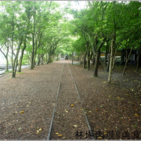 前往 美食阿寶 的 styleMe 個人頁