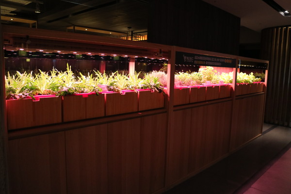 果然匯：【台北美食】素食吃到飽，果然匯蔬食宴@忠孝敦化站