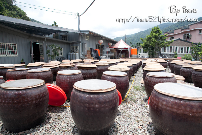 13.07.06-老媽媽豆腐乳烤香雞