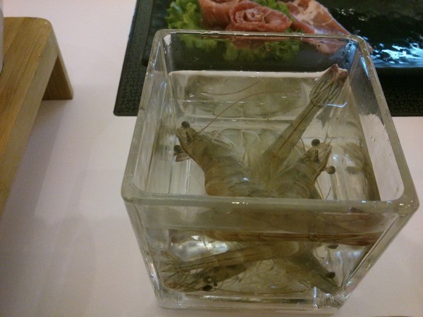 契双舞鍋：口碑卷7--新鮮鍋具、新鮮嚐去…