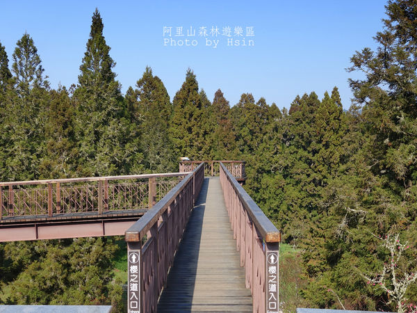 櫻花天空步道