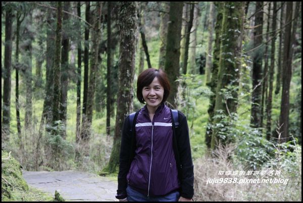 阿里山117.JPG