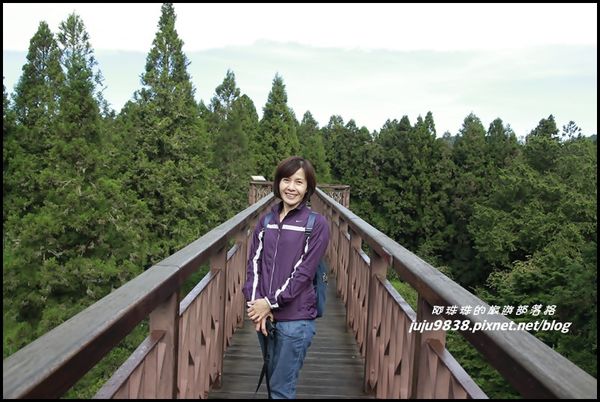阿里山118.JPG