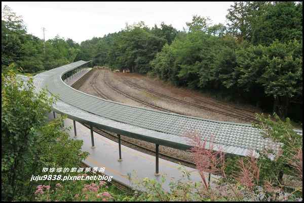 阿里山77.JPG