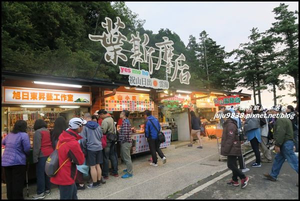 阿里山50.JPG