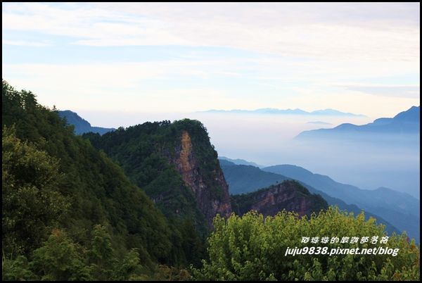 阿里山神木賓館 27JPG.JPG