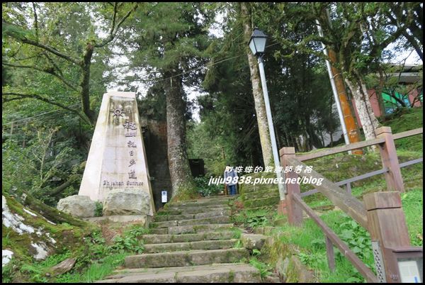阿里山101.JPG