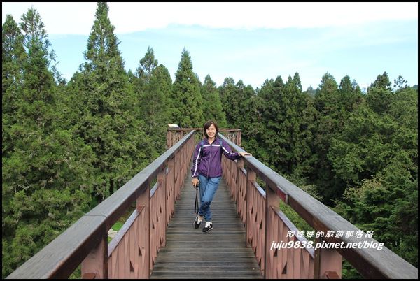 阿里山48.JPG