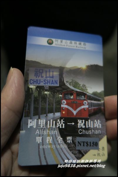 阿里山41.JPG
