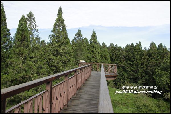 阿里山119.JPG