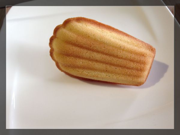 杏糖屋：【試吃】台北【杏糖屋】別緻輕甜點