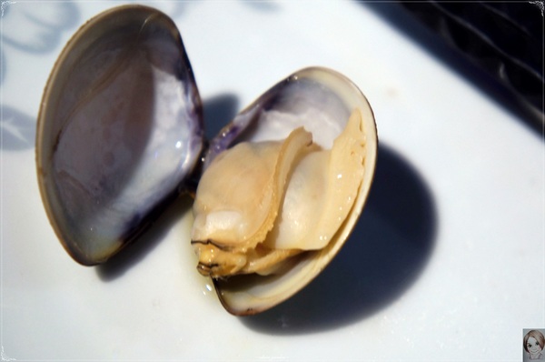 魚歌燈火精緻健康鍋(延吉店):台北 捷運國父紀念館站 魚歌燈火精緻健康鍋(延吉店)~ 氣勢驚人23cm大明蝦