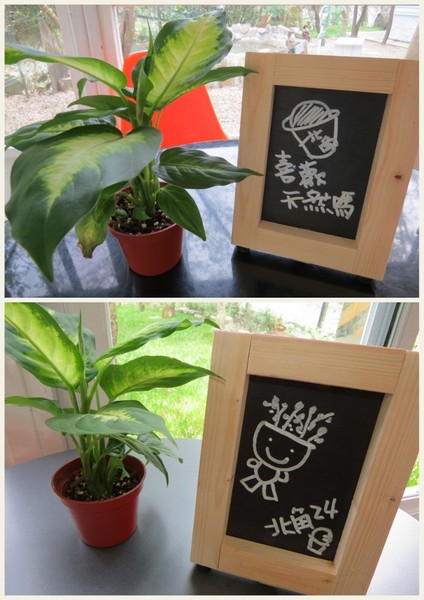 北角24法式冰淇淋專賣:【口碑券6】深山裡的法式冰品『北角24法式冰淇淋專賣』