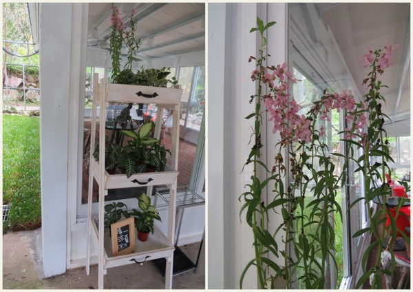 北角24法式冰淇淋專賣:【口碑券6】深山裡的法式冰品『北角24法式冰淇淋專賣』