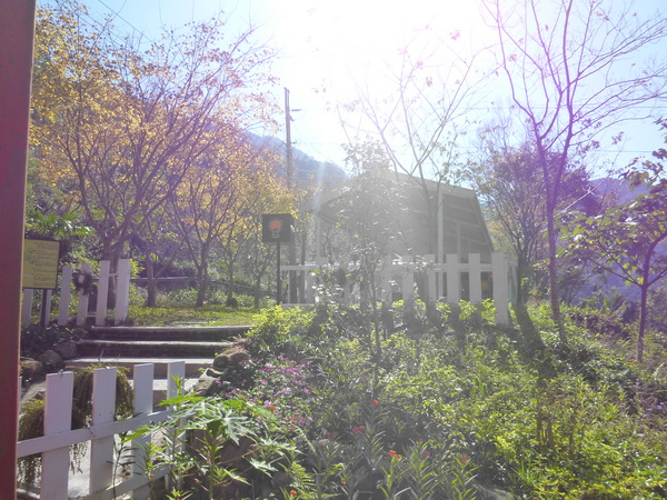 北角24法式冰淇淋專賣：遠征數公里，我的「北角24法式冰淇淋專賣」口碑劵體驗