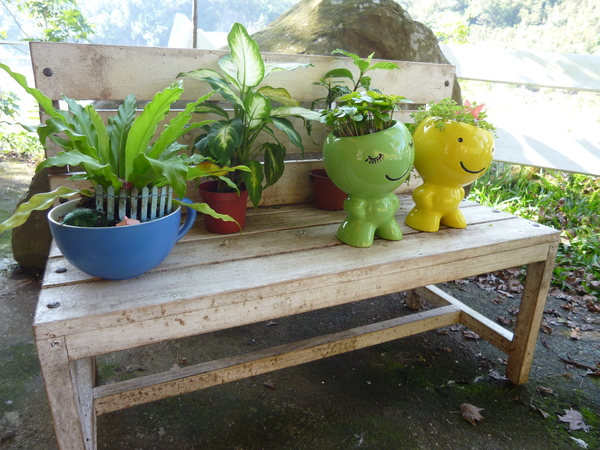 北角24法式冰淇淋專賣：遠征數公里，我的「北角24法式冰淇淋專賣」口碑劵體驗