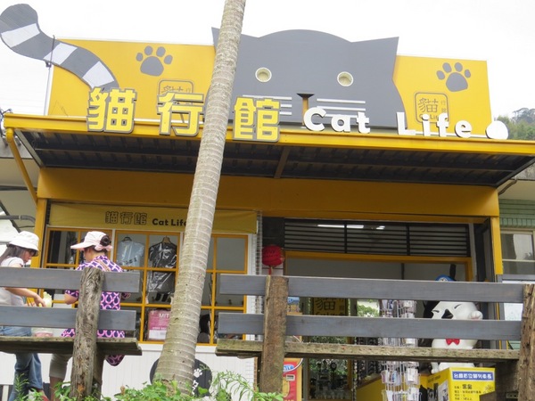 哈客大嬸婆客家菜店：漫步〞內灣老街〞之尋訪【新竹內灣/哈客大嬸婆客家菜】