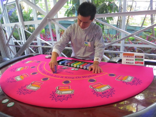 ACE休閒主題餐廳：【口碑券4】容易讓人著迷的ACE休閒主題餐廳『高雄仁武』