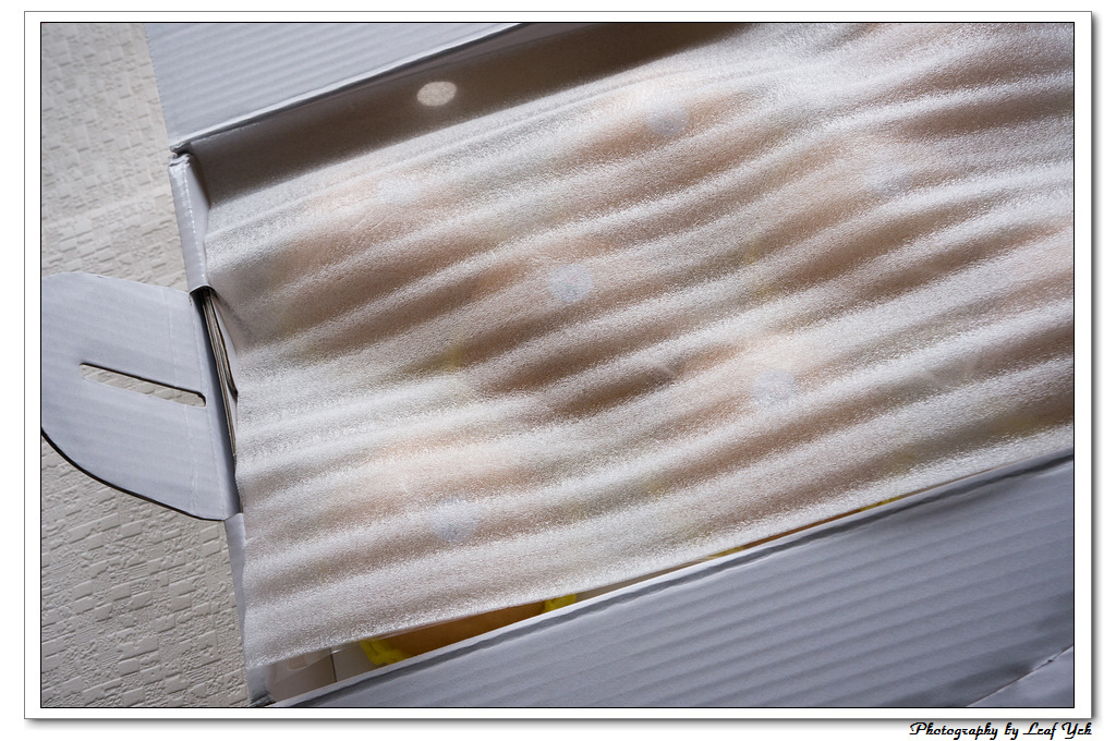 葉影瓶像版權所有