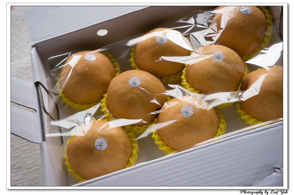 葉影瓶像版權所有