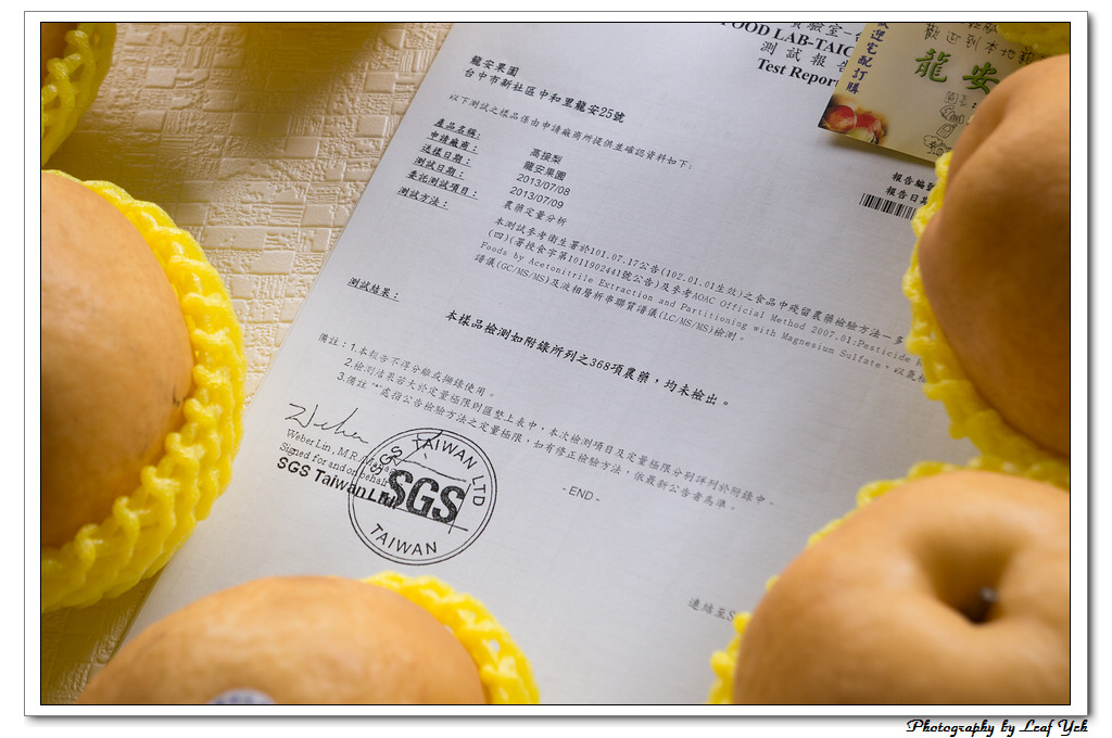 葉影瓶像版權所有