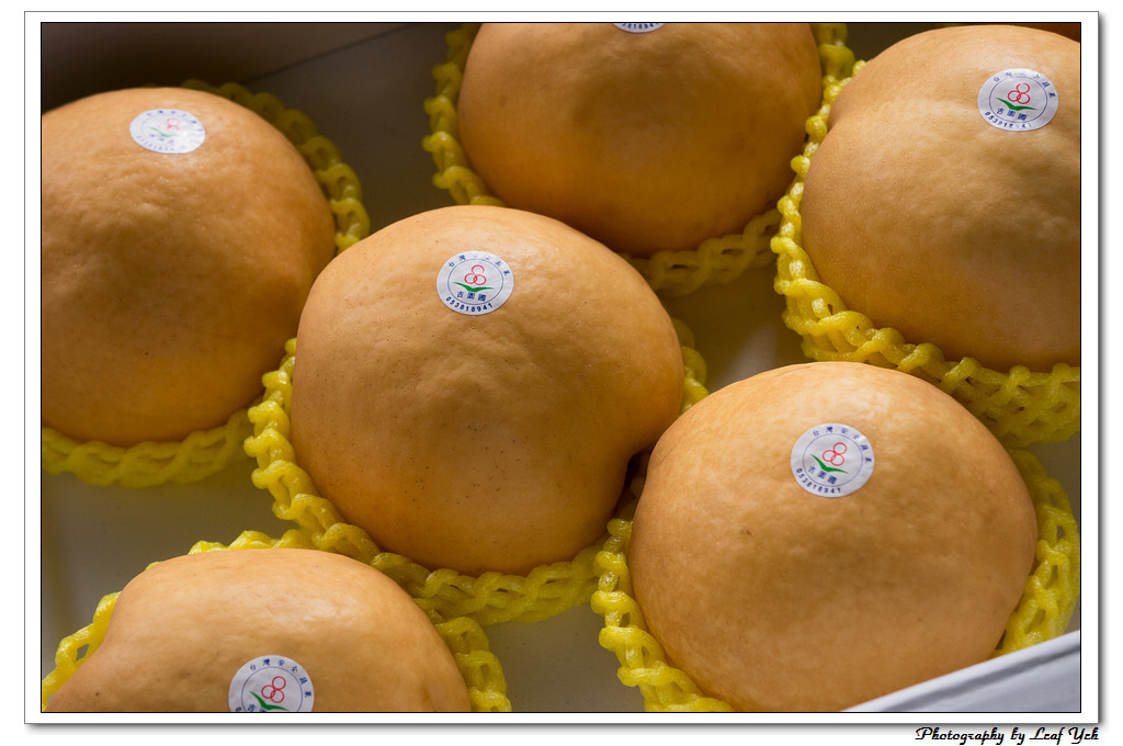 葉影瓶像版權所有