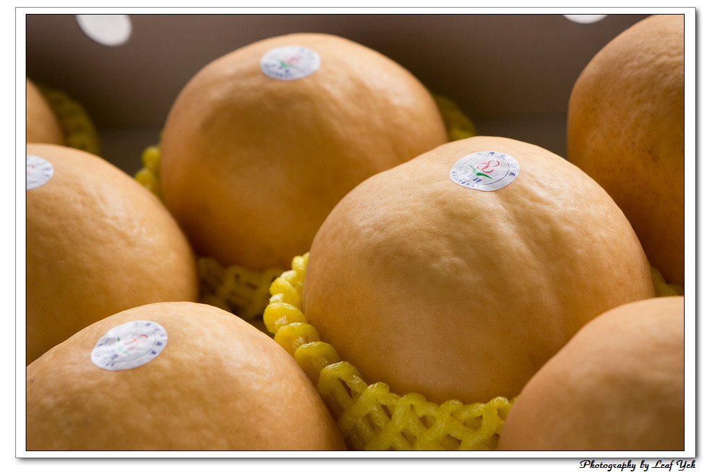 葉影瓶像版權所有