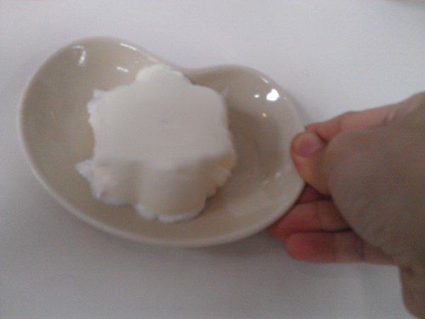 藍白拖冰舖：丞食中壢 - 藍白拖 之 小盆栽冰  中原大學