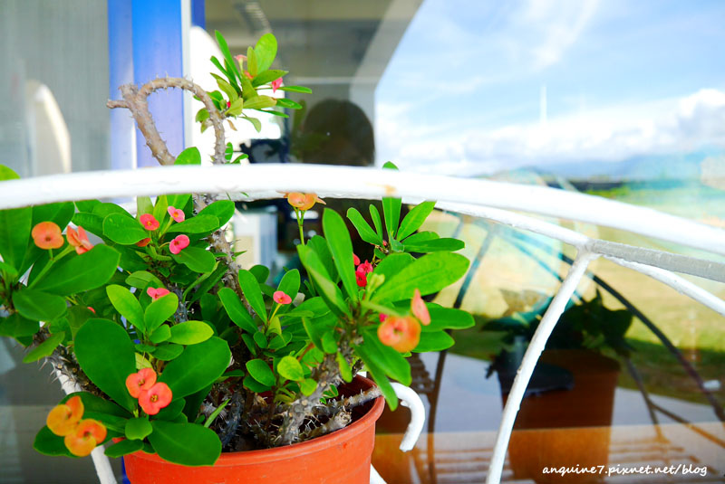 廖西瓜＠台東豐源國小13