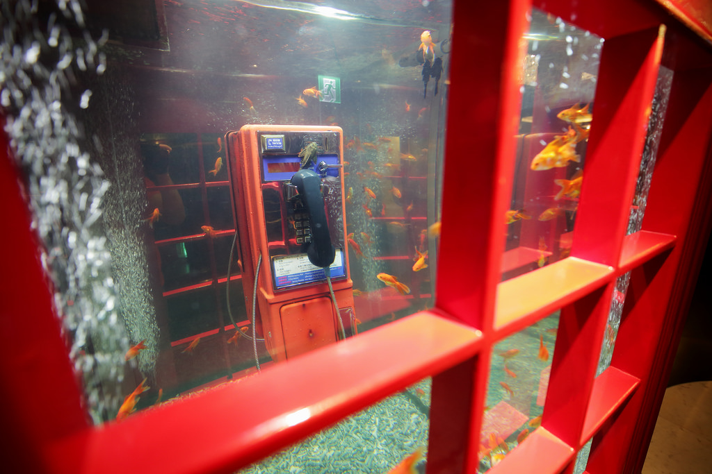 2014 Mom in law's bday009