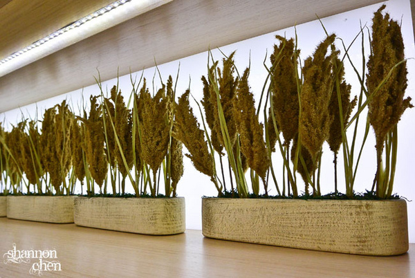 日法坊 La Bonbonnière:*美食*日法坊 La Bonbonniere*蛋糕捲新品試吃體驗,真材實料美味吃的到!