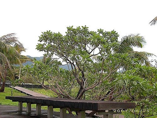 水往上流：開庭遊記(二)~台東2部曲