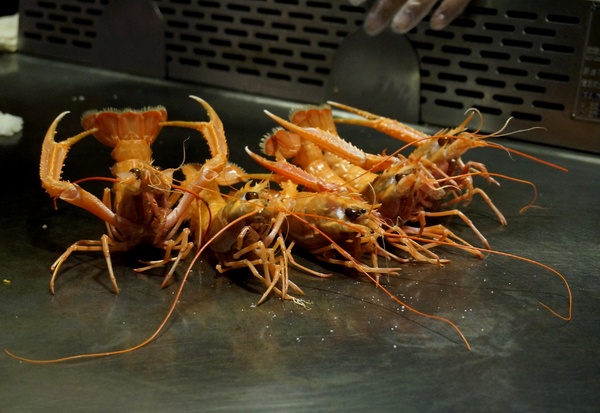 東方紅鐵板創意料理：[礁溪]東方紅鐵板創意料理：宜蘭在地海鮮/頂級食材.精彩料理/無菜單 - APP專屬優惠 !