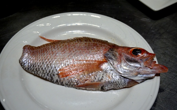 東方紅鐵板創意料理：[礁溪]東方紅鐵板創意料理：宜蘭在地海鮮/頂級食材.精彩料理/無菜單 - APP專屬優惠 !