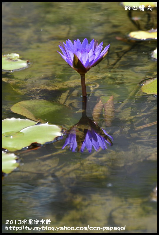 2013水里玩水節_DSC5019